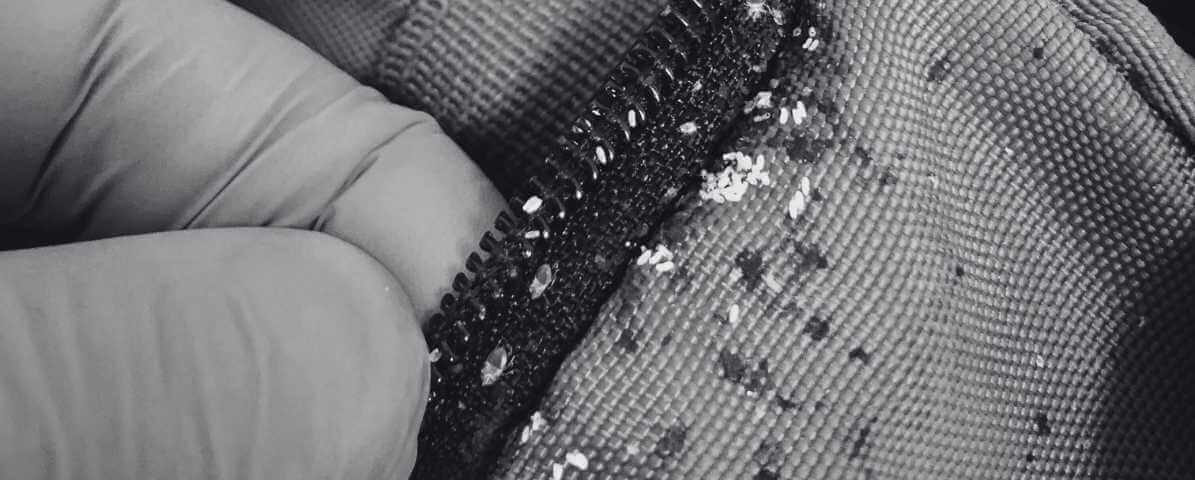 Contoh Kesan Gigitan Pepijat Di Rumah