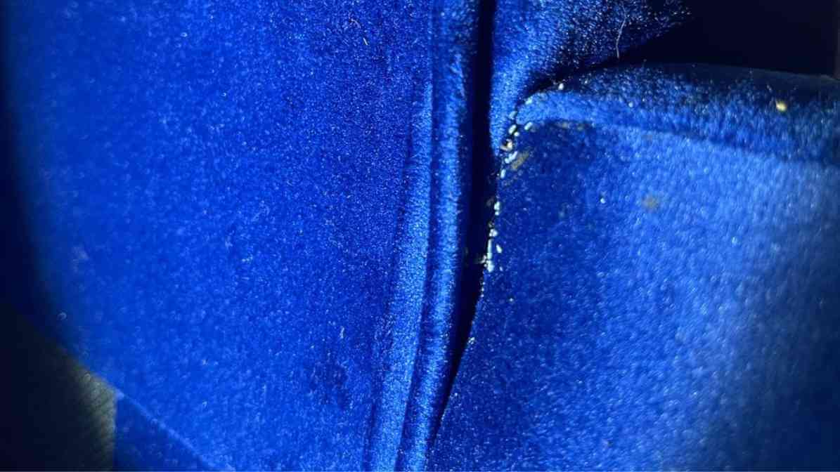 Bed Bug Bites - Common Hiding Spots