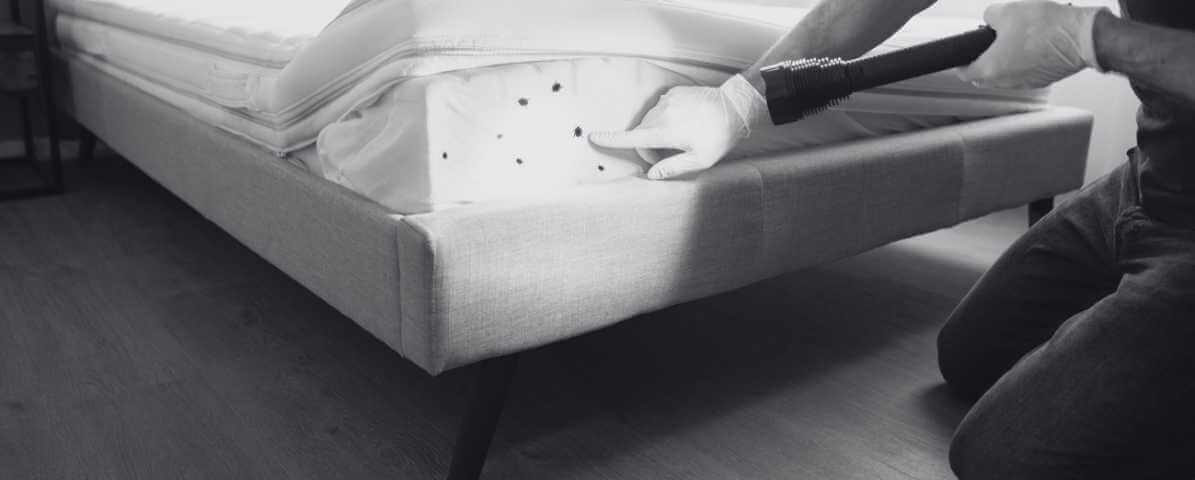 Preparation Guide for Effective Bed Bug Treatment