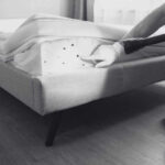 Preparation Guide for Effective Bed Bug Treatment | Innovative Pest Sdn Bhd Preparation Guide for Effective Bed Bug Treatment