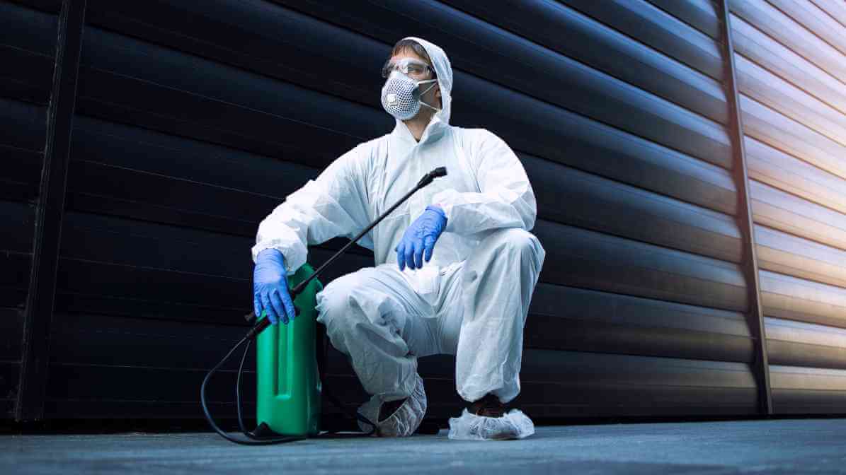 Innovative Professional Pest Control Services | Innovative Pest Sdn Bhd Professional Pest Control Services