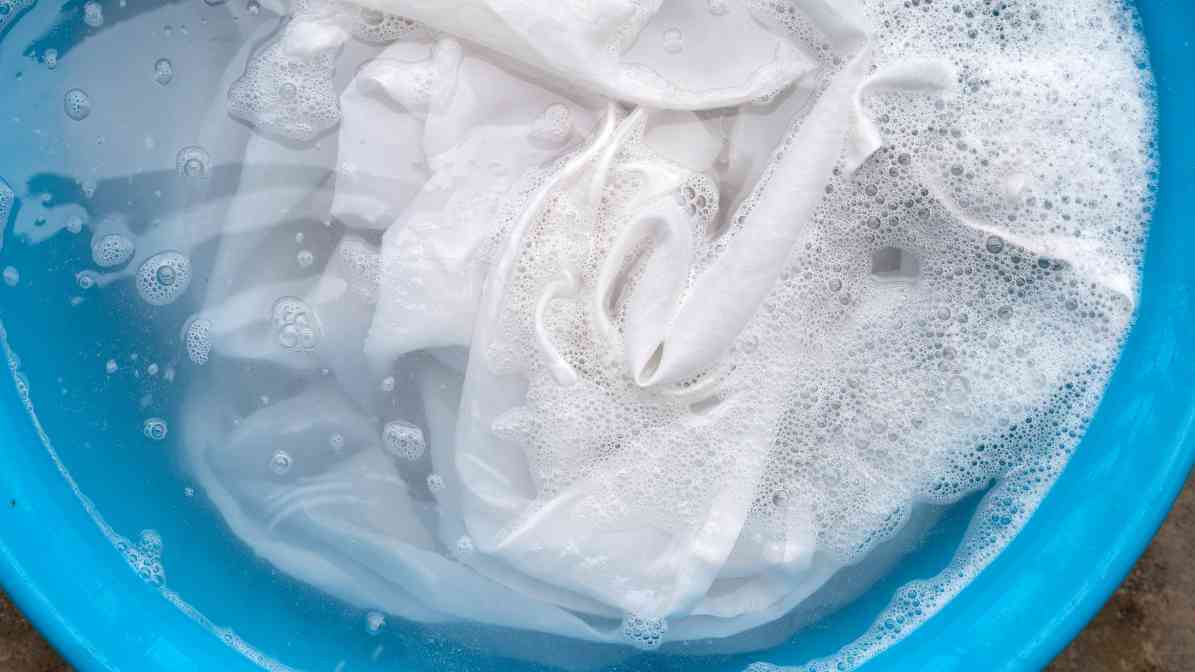 Soap and Water - Innovative Pest Management MY | Innovative Pest Sdn Bhd Soap and Water