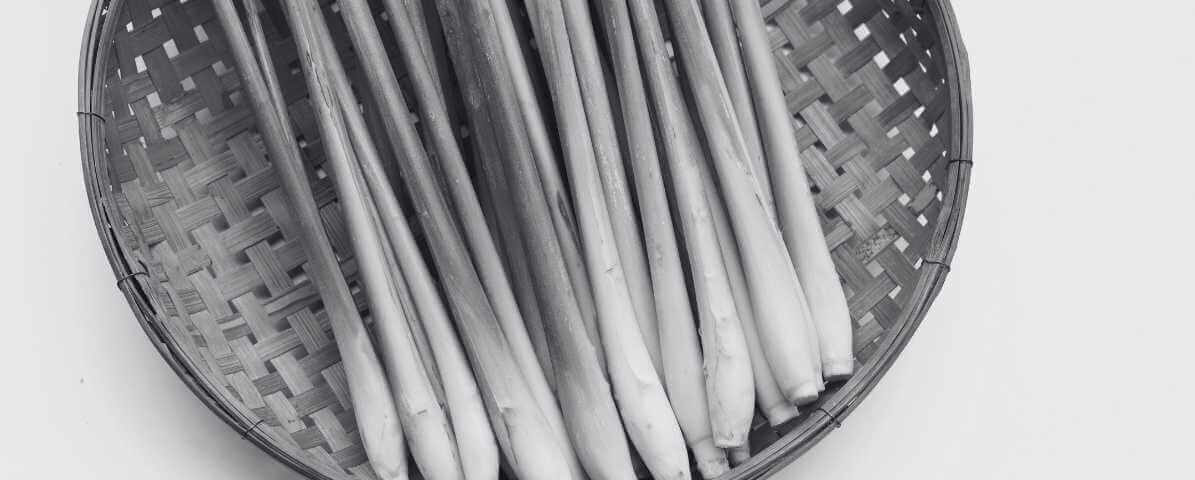 Best Mosquito Repellent Plants To Prevent Mosquitoes