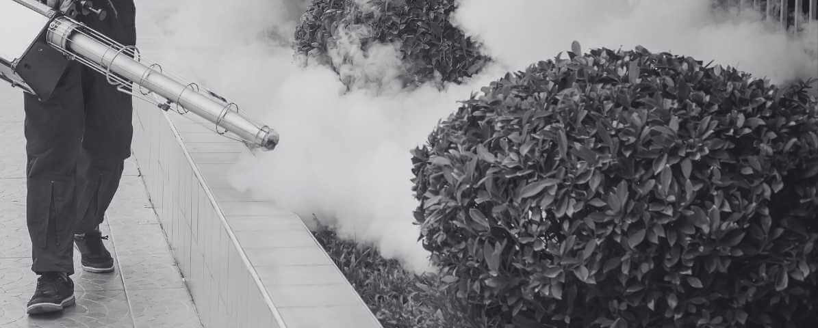 Between Fogging and Misting Services, Which Works Best?