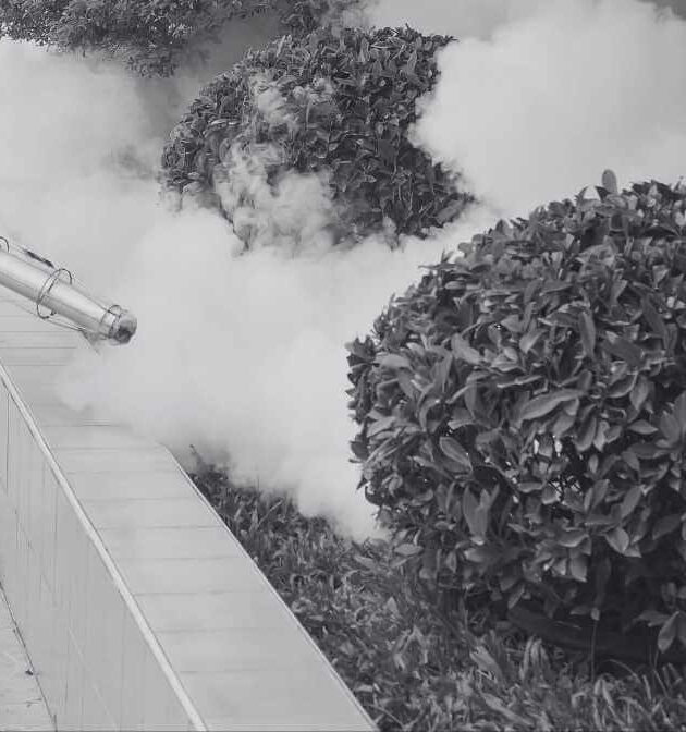 Between Fogging and Misting Services, Which Works Best?