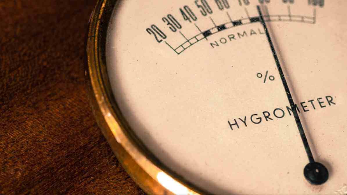 Book lice - Control Indoor Humidity Levels | Innovative Pest Sdn Bhd Book lice - Control Indoor Humidity Levels