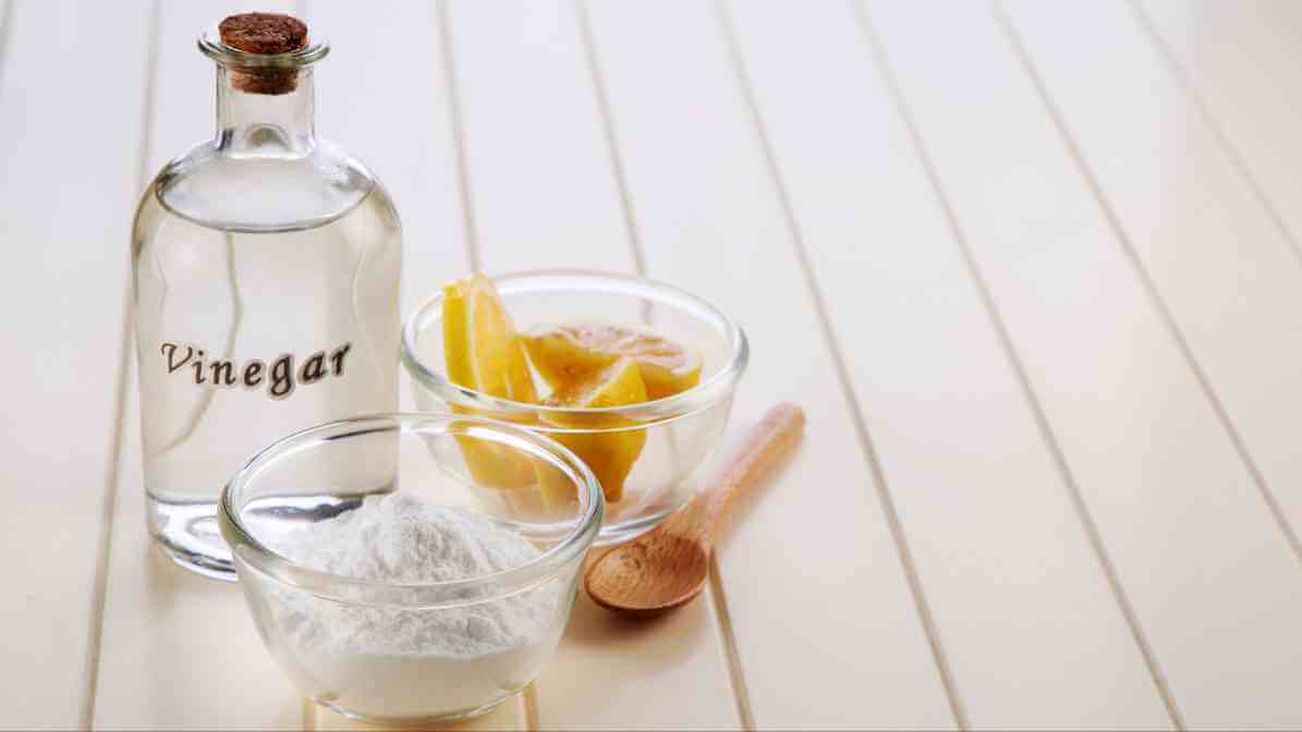 Book lice - Regular Cleaning of Surfaces | Innovative Pest Sdn Bhd Book lice - Regular Cleaning of Surfaces