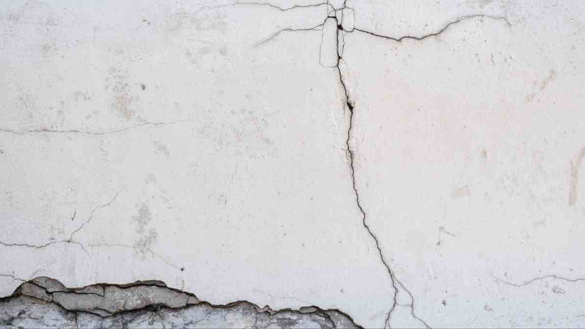 Booklice Lifecycle - Environmental Management | Innovative Pest Sdn Bhd Booklice Lifecycle - Environmental Management