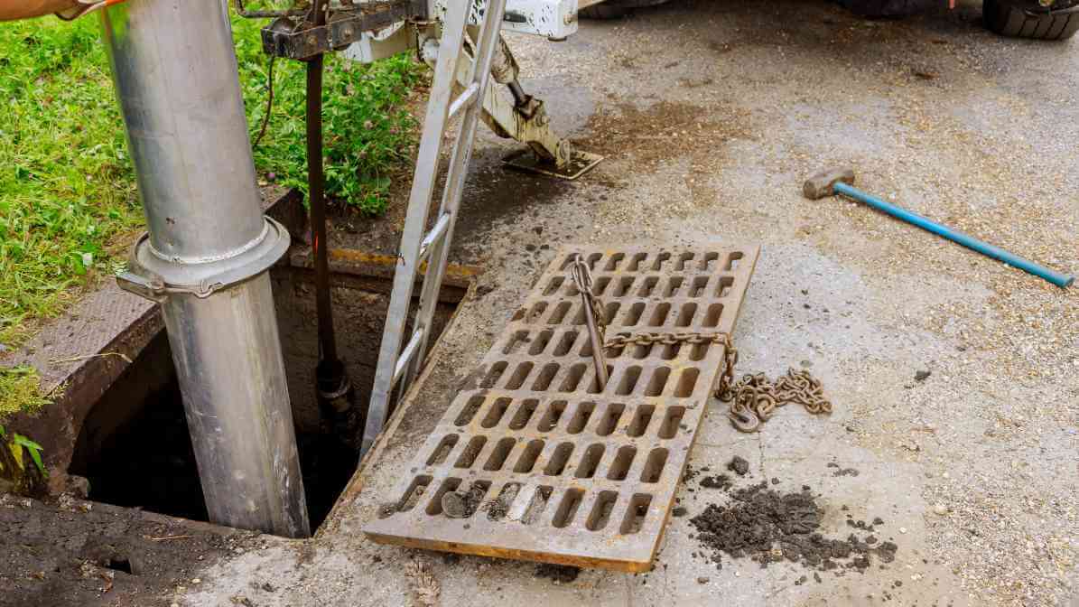 Cockroaches Spread Diseases - Sewer | Innovative Pest Sdn Bhd