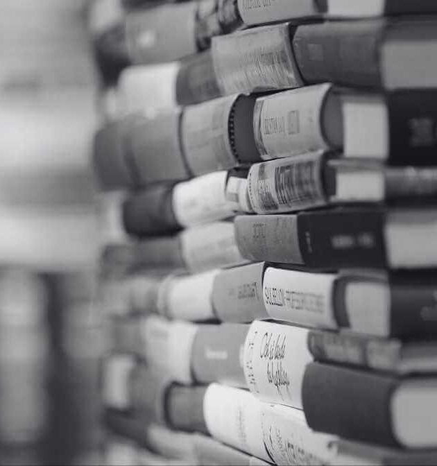 Decoding the Booklice Life Cycle (Kayapaya)