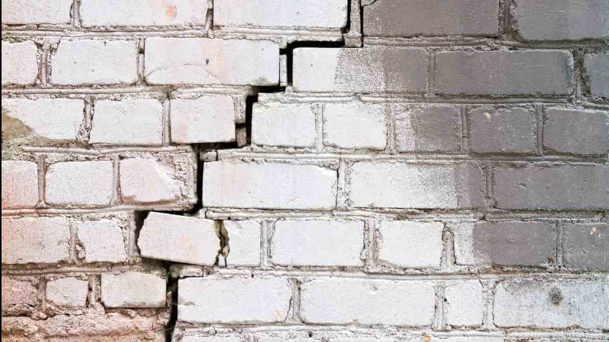 Effective Cockroach Bait and Cockroach Gel Bait Strategies - Cracks