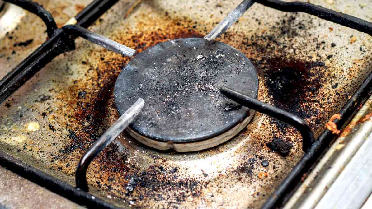 Effective Cockroach Bait and Cockroach Gel Bait Strategies - Kitech Grease