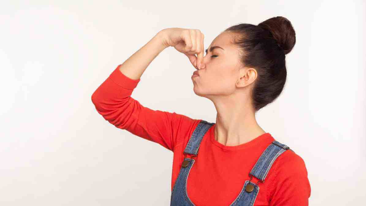 German Cockroaches - Foul Odour | Innovative Pest Sdn Bhd