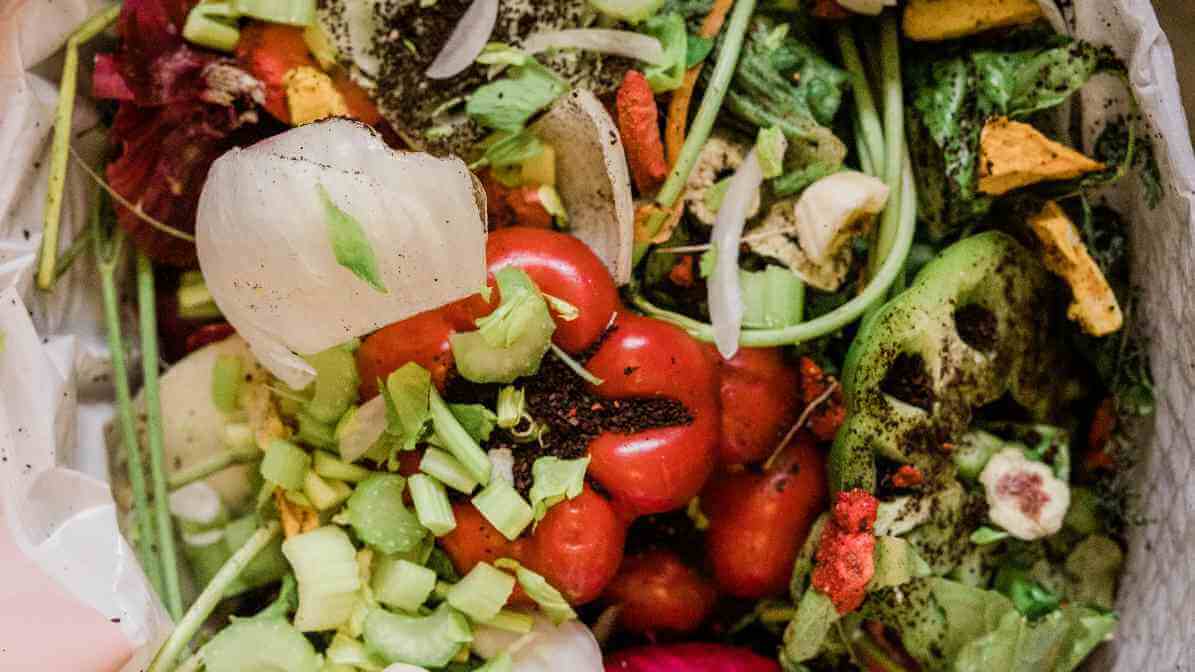 Manage Food and Waste Storage