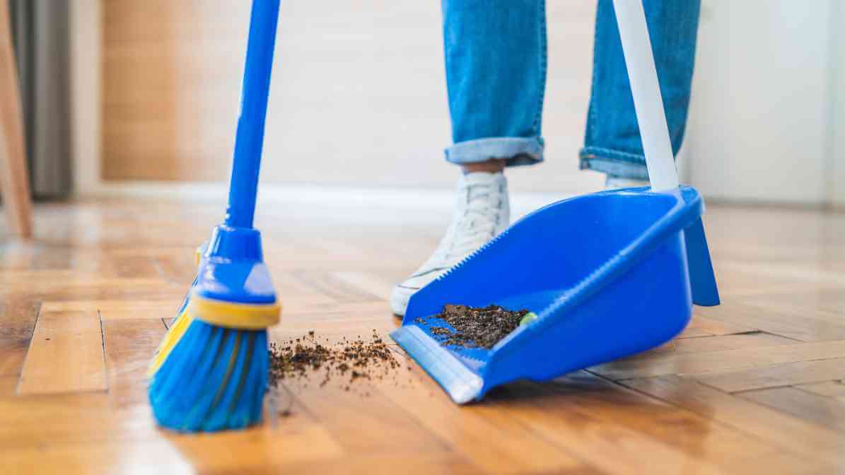 Manual Removal | Innovative Pest Sdn Bhd Manual Removal