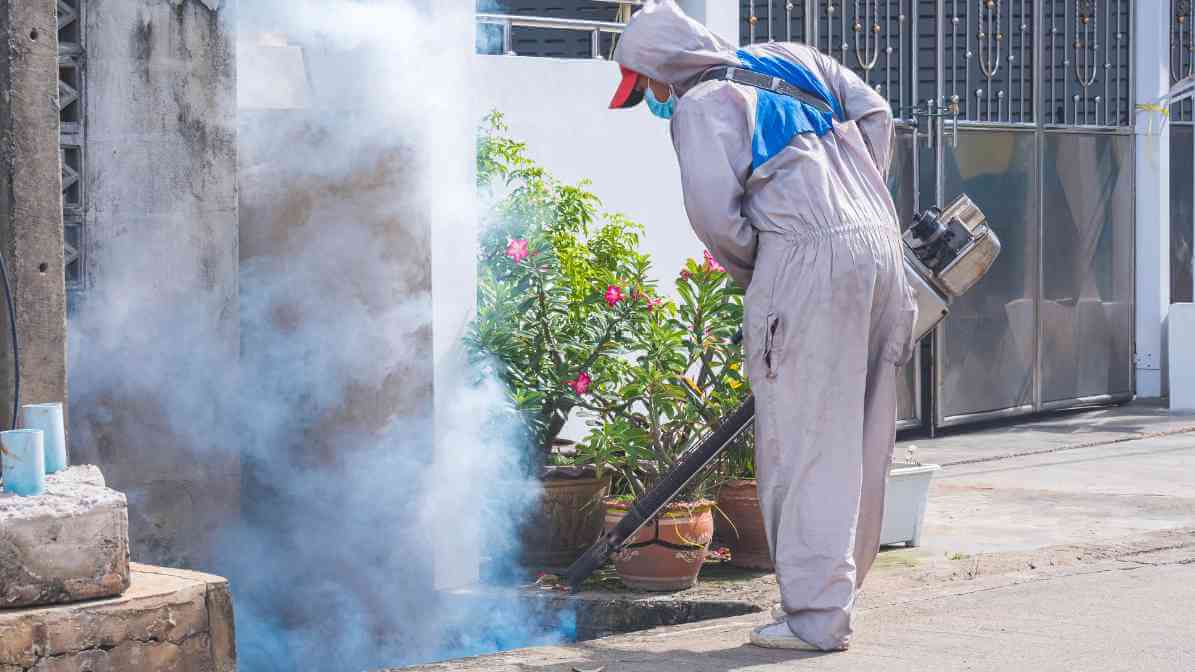 Mosquito Borne Diseases - Pest Control Management