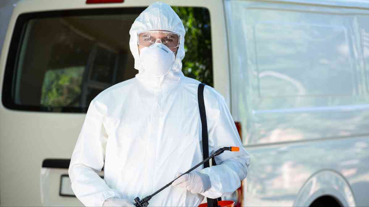 Pepijat - Bantuan Profesional