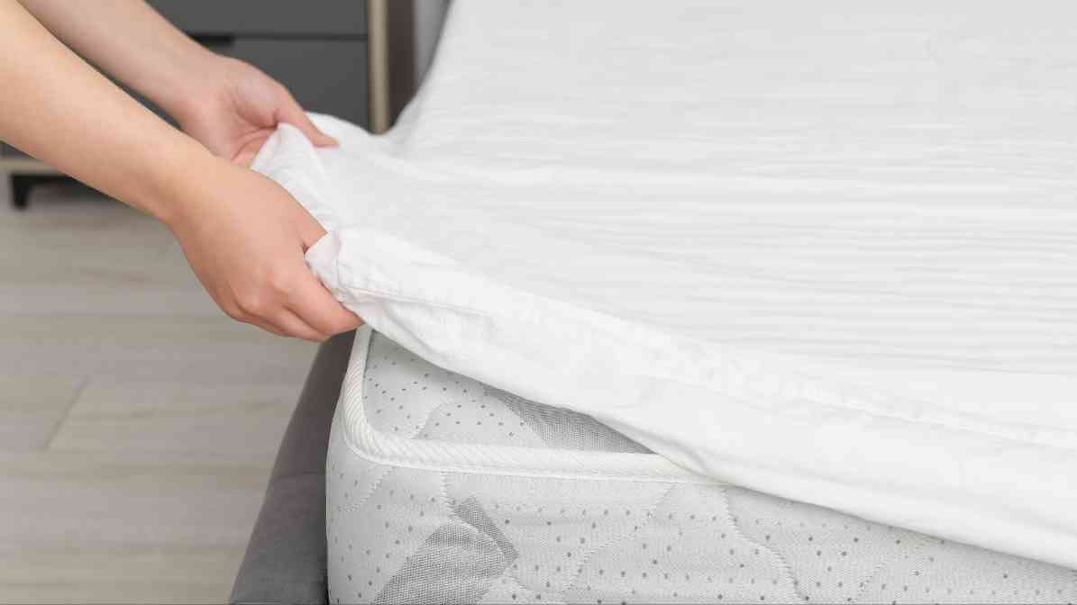 Pepijat - Gunakan Pelindung Katil