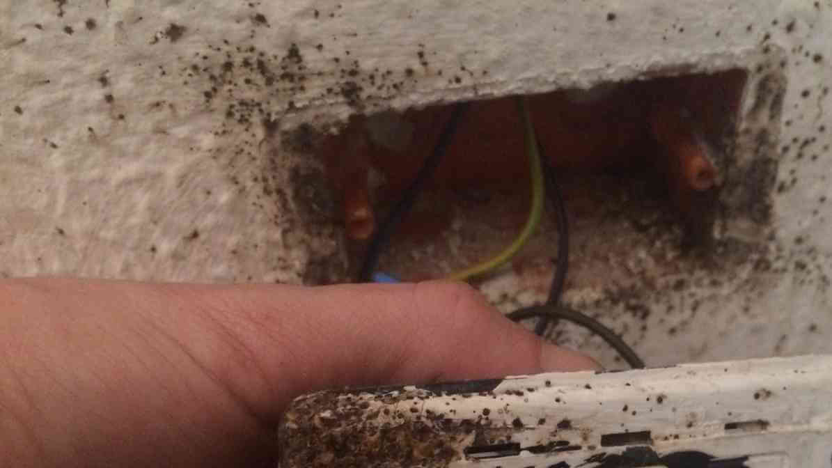 Pepijat - Tanda Hitam