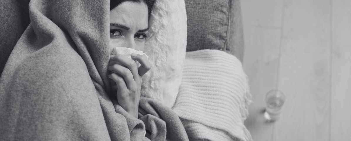 Types of Mosquitoes and the Diseases They Spread