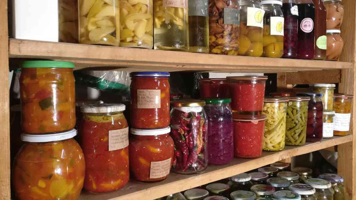 6 Dangerous Types of Diseases Rats and Mice Spread - Proper Food Storage | Innovative Pest Sdn Bhd