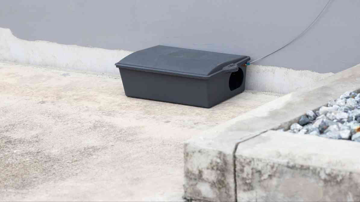 6 Dangerous Types of Diseases Rats and Mice Spread - Rat Trap Unit | Innovative Pest Sdn Bhd 6 Dangerous Types of Diseases Rats and Mice Spread - Rat Trap Unit