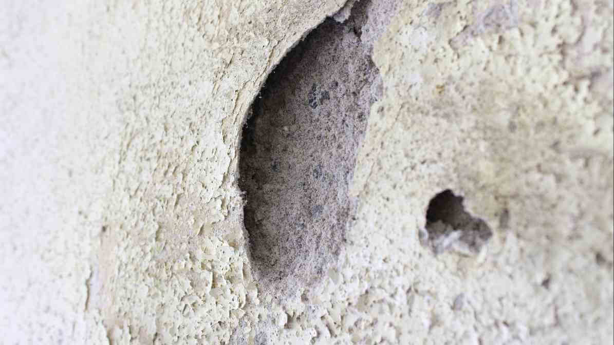 6 Dangerous Types of Diseases Rats and Mice Spread - Seal Holes | Innovative Pest Sdn Bhd 6 Dangerous Types of Diseases Rats and Mice Spread - Seal Holes