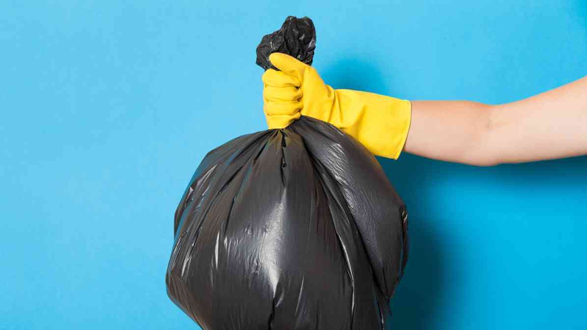 Handling Rat Droppings and Urine - Secure Disposal | Innovative Pest Sdn Bhd Handling Rat Droppings and Urine - Secure Disposal