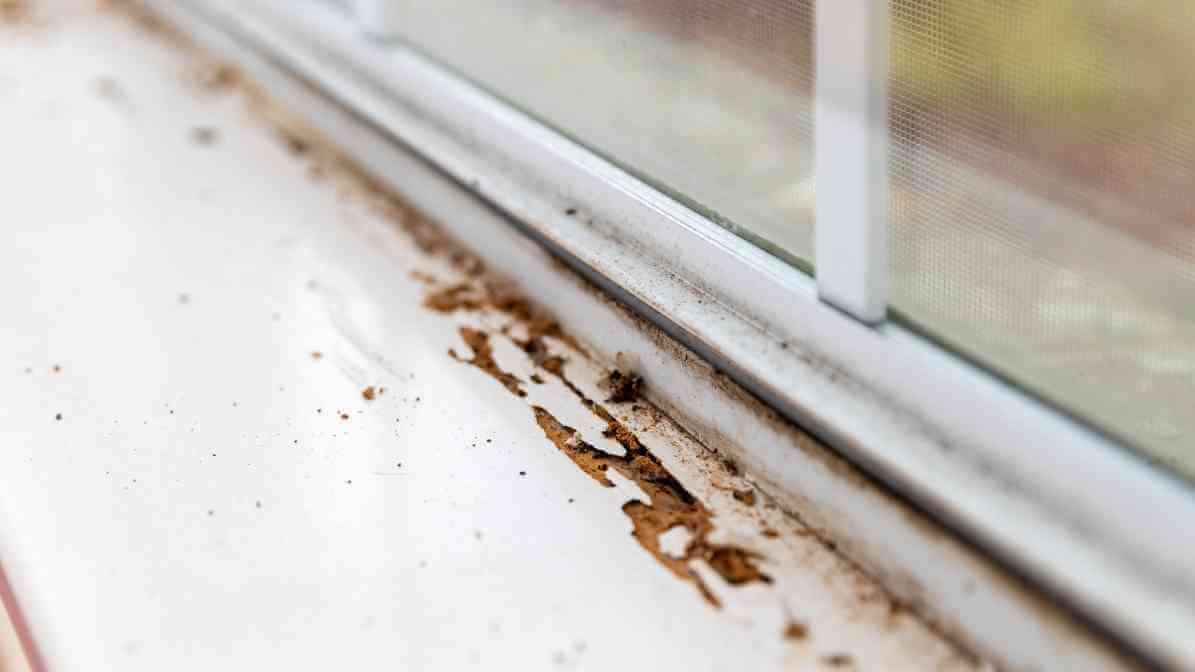 Bubbling paint or damaged surfaces