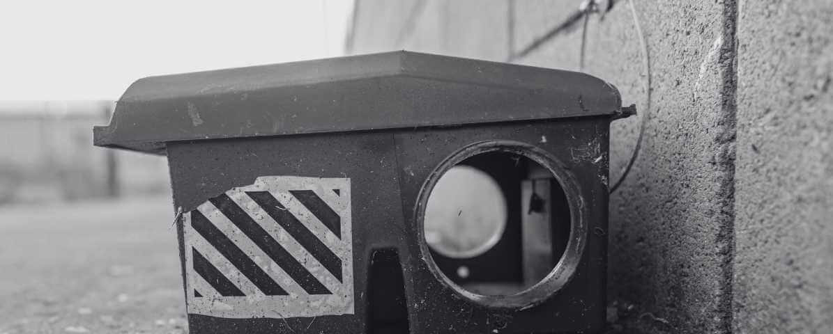 Rat Trap and Proofing Solution | Innovative Pest Sdn Bhd Rat Trap and Proofing Solution