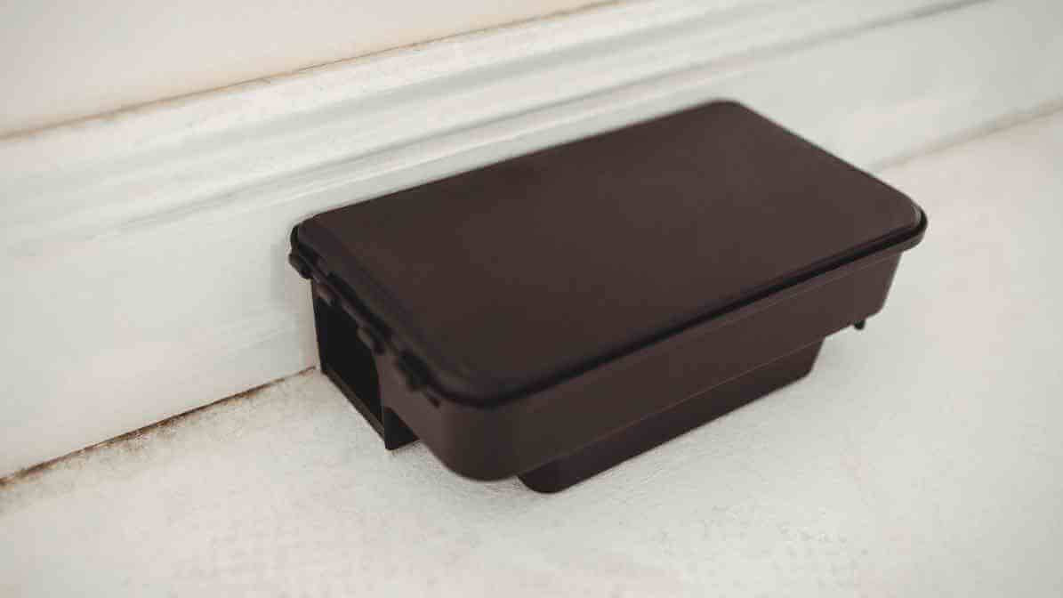 Rat Trap and Proofing Solution - Rodent Solution | Innovative Pest Sdn Bhd Rat Trap and Proofing Solution - Rodent Solution