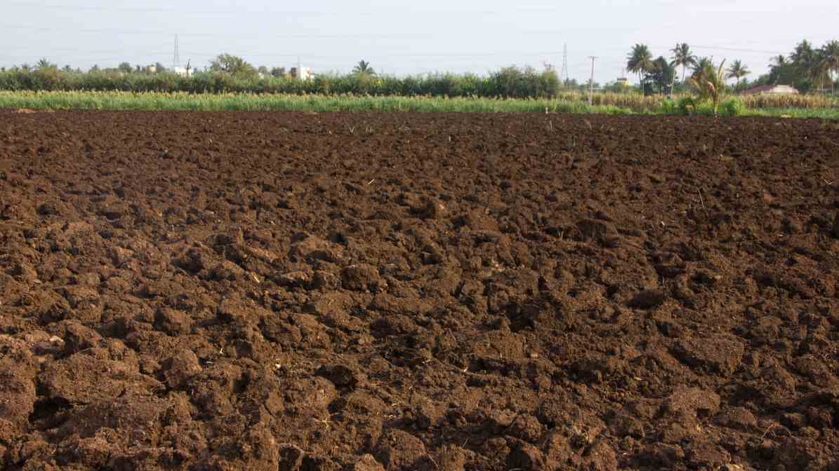 Termite Ground Treatment for Malaysia Properties - Soil Treatment | Innovative Pest Sdn Bhd Termite Ground Treatment for Malaysia Properties - Soil Treatment