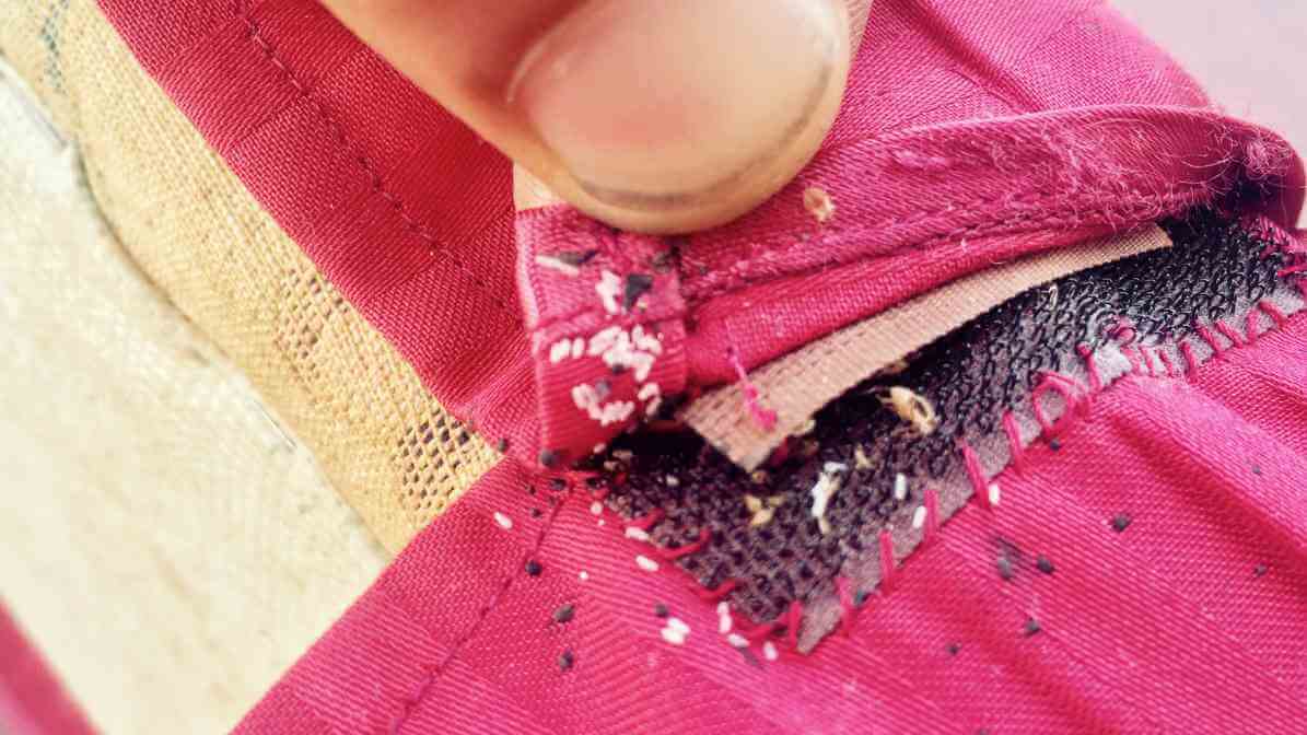 Bed Bugs Size Revealed - Bed Bug Eggs Horrifying Signs You Must Know | Innovative Pest Sdn Bhd Bed Bugs Size Revealed - Bed Bug Eggs Horrifying Signs You Must Know