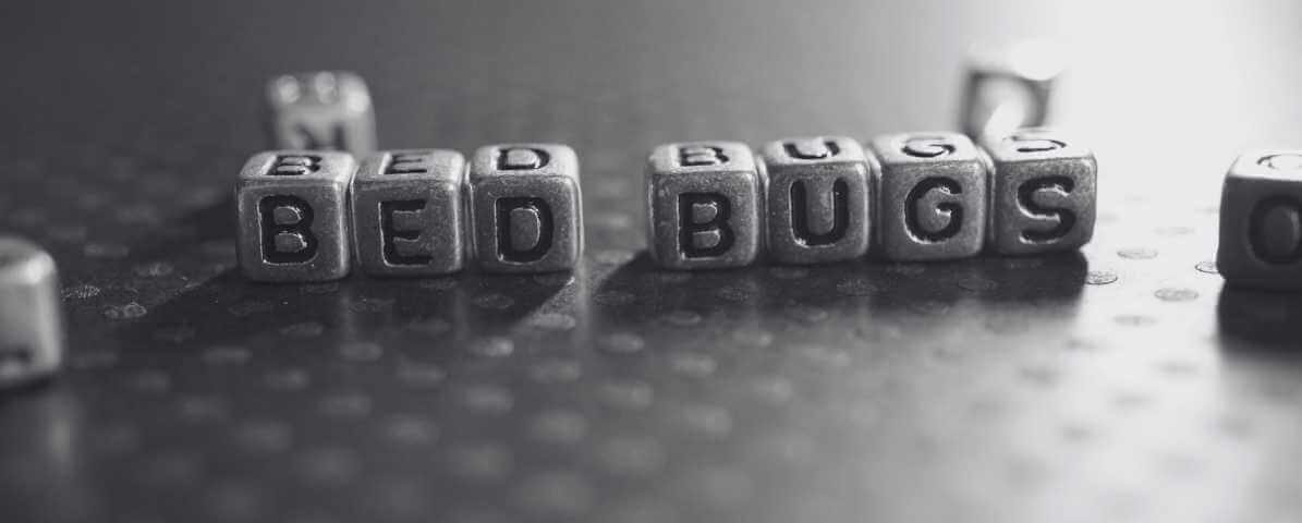 Innovative Highly Effective Bed Bug Spray for Total Control