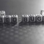 Innovative Highly Effective Bed Bug Spray for Total Control | Innovative Pest Sdn Bhd Innovative Highly Effective Bed Bug Spray for Total Control