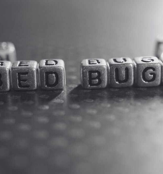 Innovative Highly Effective Bed Bug Spray for Total Control