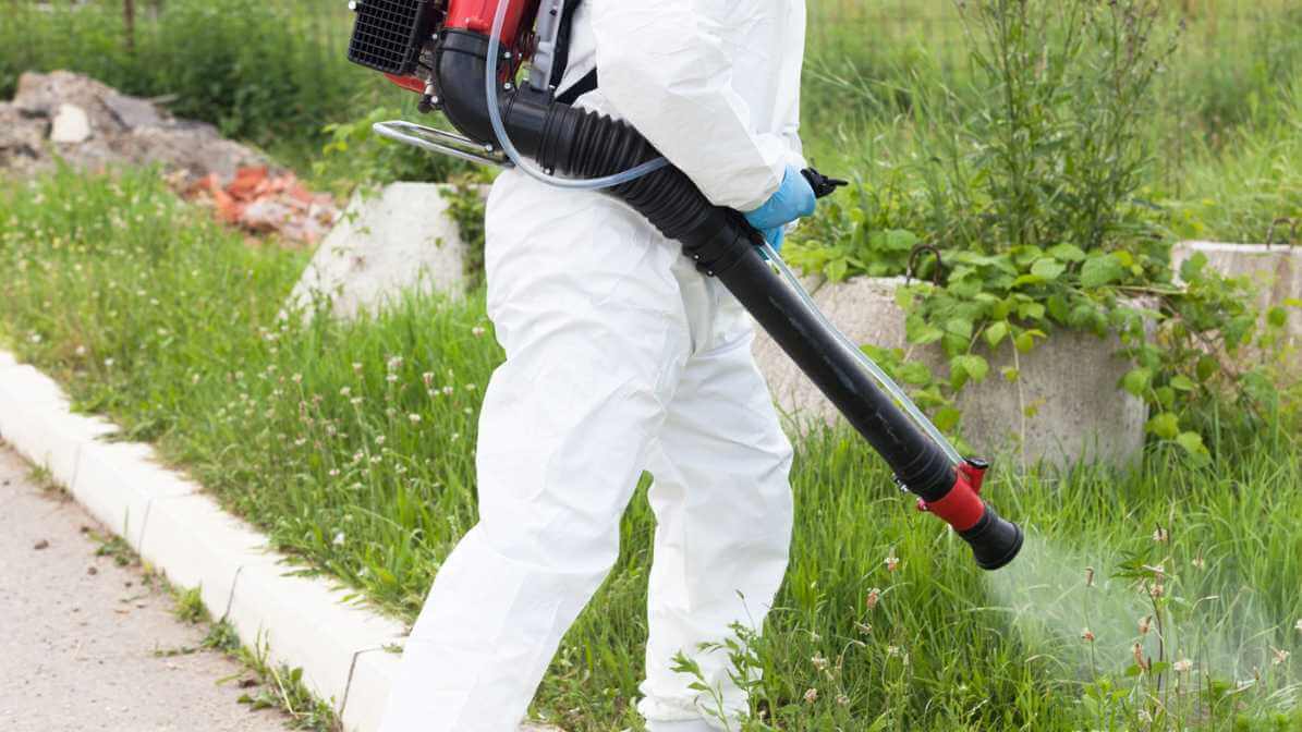 Misting Services - Innovative Pest Management MY
