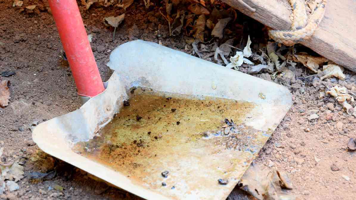 Mosquito Breed in Construction Site