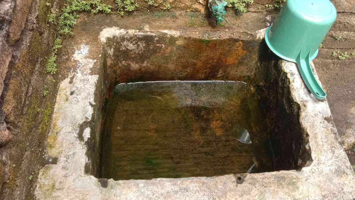 Mosquito Breed in Standing Water