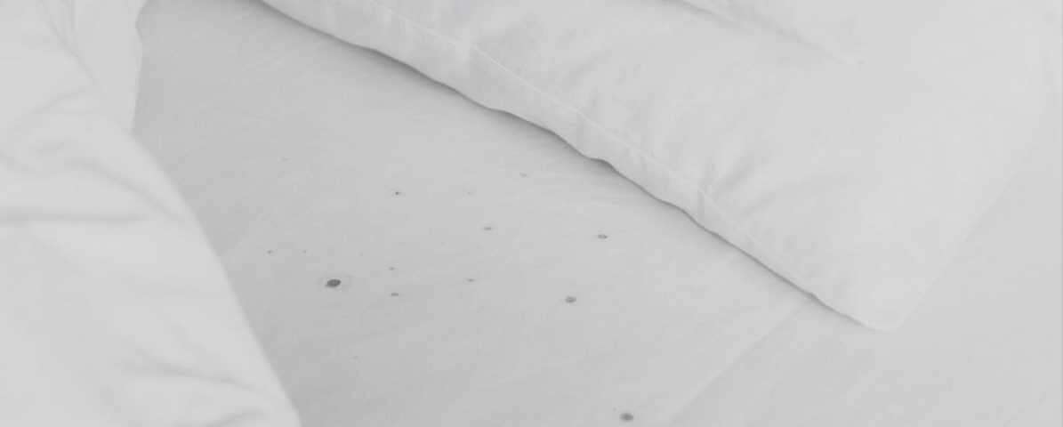 Shocking Bed Bug Infestation Signs Malaysian Homes Ignore | Innovative Pest Sdn Bhd Shocking Bed Bug Infestation Signs Malaysian Homes Ignore