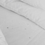 Shocking Bed Bug Infestation Signs Malaysian Homes Ignore