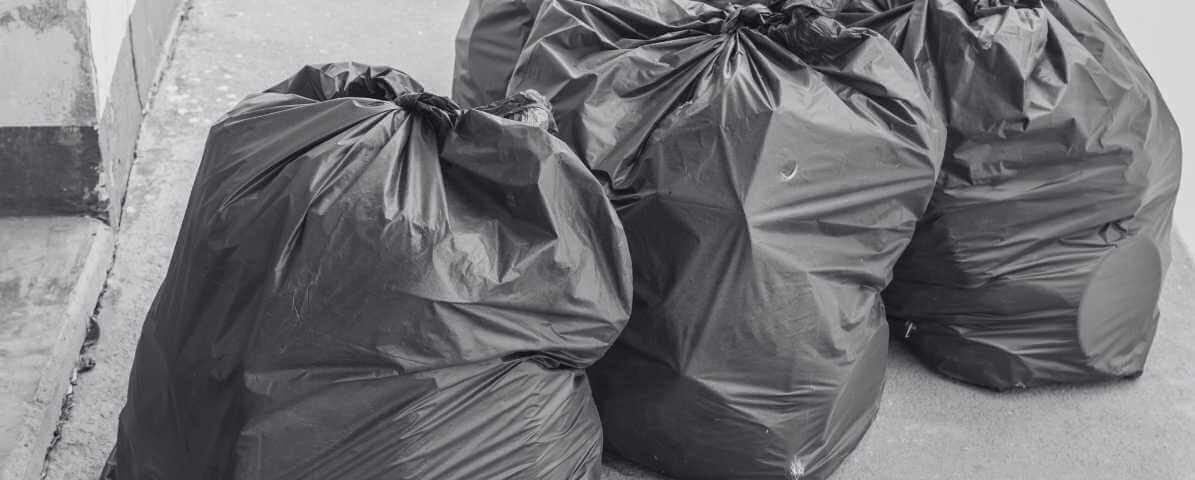 Simple Steps on How to Get Rid of Bed Bugs Quickly