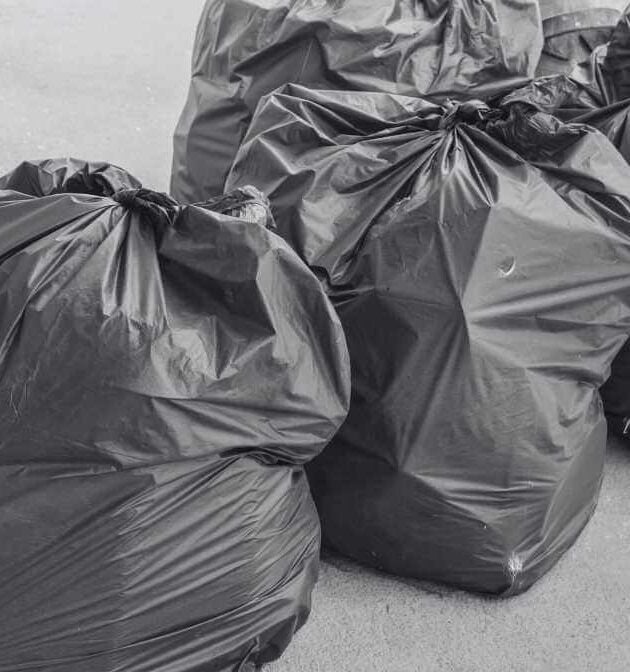 Simple Steps on How to Get Rid of Bed Bugs Quickly | Innovative Pest Sdn Bhd Simple Steps on How to Get Rid of Bed Bugs Quickly